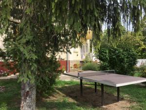 - une table de pique-nique sous un arbre dans une cour dans l'établissement Nelli Vendégház, à Gyenesdiás