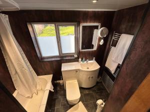 a bathroom with a toilet and a sink and a window at Southpark House in Dumfries
