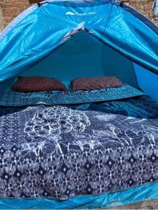 瓜納華托的住宿－Home Sweet Home Guanajuato，蓝色帐篷内的一张床位,配有两个枕头