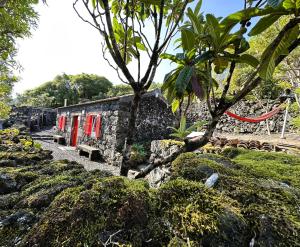 サン・ロケ・ド・ピコにあるAdega Baía Azul - The essence of Picoの庭の赤い扉付き石造りの家