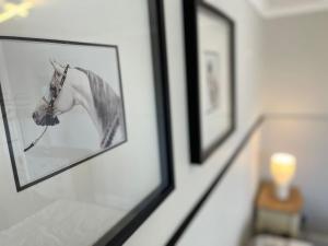 a picture of a horse in a frame on a wall at Scottish Nest in the heart of East Kilbride 10mins from Hairmyres Hospital in East Kilbride