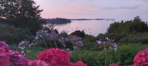 Paesaggio naturale nelle vicinanze del bed & breakfast