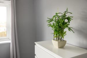 a plant sitting on top of a white dresser at The Kilnwood House in Crawley +34 photos