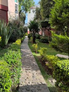 a stone path in a garden with plants at Hermoso Descanso en Coyoacán in Mexico City