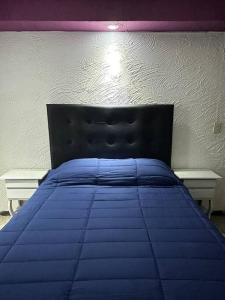 a blue bed in a bedroom with a purple wall at Hermoso Descanso en Coyoacán in Mexico City