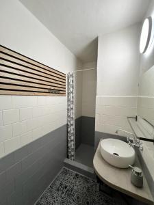 La salle de bains est pourvue d'un lavabo et d'une douche. dans l'établissement Ubytování Hilšer, à Potštát