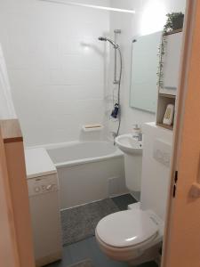 a white bathroom with a toilet and a sink at Apartment nah am Strand in BreitungenWerra in Herrenbreitungen