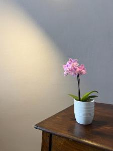 a pink flower in a white vase on a table at Luna Apartment in Civitavecchia