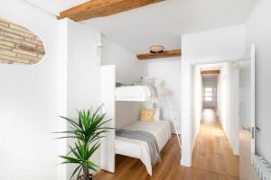- une petite chambre avec des lits superposés et une plante dans l'établissement Increíble, amplio, cómodo y céntrico apartamento, à Pampelune