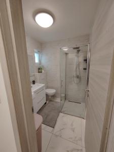 a bathroom with a shower and a toilet at Apartments and pool Luminous in Pula