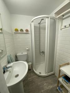 a bathroom with a shower and a sink and a toilet at Apartamento Pleamar in El Rompido