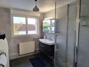 a bathroom with a sink and a shower at La fleur du soleil in Trouville-sur-Mer