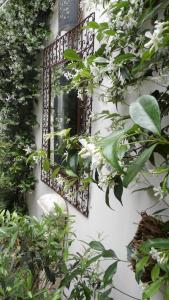 Zahrada ubytování Le Petit Patio