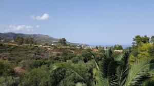 a view of a hill with trees and the ocean at Starlight Hotel in Skala