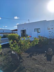 een wit gebouw met bloemen ervoor bij Casa el Gallo in Teguise