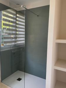 een douche met een glazen deur in de badkamer bij La Petite Rive - Les Oliviers in Velleron