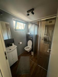 a bathroom with a toilet and a shower and a sink at Tiny Houses Transfagarasan in Cîrţişoara