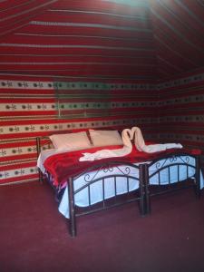 two beds in a room with a red wall at Mars moon camp in Wadi Rum