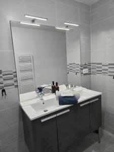 a bathroom with a sink and a large mirror at Maison de la forêt in Dole