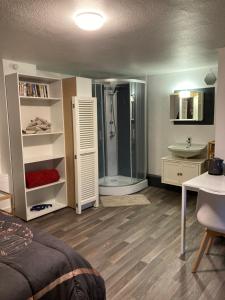 1 dormitorio con baño con ducha y lavamanos en Gîte d'Avalon Chambre 7, en Dinant