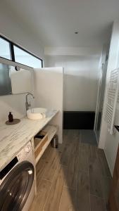 een badkamer met een wasmachine en een wastafel bij ÂU-LAC loft rénové en 2024 in Lourdes