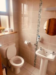 een badkamer met een toilet en een wastafel bij Ballytigue House in Droíchead an Chláir