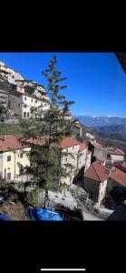 a pine tree on top of a hill with buildings at La Mansarda di Terelle in Terelle
