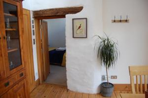 a hallway with a door and a plant in a room at The Stable - rural retreat, perfect for couples in Taunton