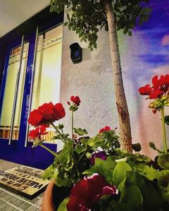 un grupo de flores rojas delante de un edificio en Hostal LA POETISA - Auto Check-in en Culleredo