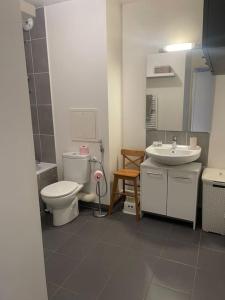 a bathroom with a toilet and a sink at 3 pièces avec belle terrasse et vue dégagée. in Suresnes