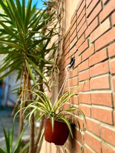 Gallery image of Casa vacanze Hippocampus in Salerno