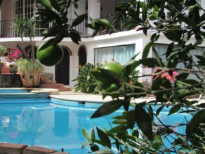 una casa con piscina con plantas en Villa de Lena, en Cuernavaca