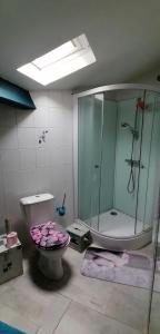 a bathroom with a glass shower and a toilet at Grande maison au charme chaleureux hiver comme été in La Bourboule