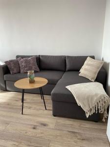 a living room with a couch and a table at Apartament Kasia in Wałbrzych