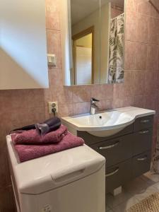 a bathroom with a sink and a toilet and a mirror at Your getaway home in Jausa küla in Hiiumaa