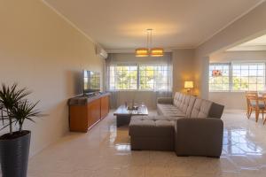 sala de estar con sofá y TV en Erofili's Apartment Rhodes 10 minutes from beach, en Ialisos