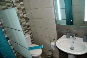 a bathroom with a sink and a toilet and a mirror at Olympus House in Litochoro +31 photos