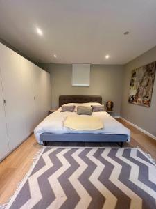 ein Schlafzimmer mit einem großen Bett und einem Teppich in der Unterkunft Bois de Hal in Braine-lʼAlleud