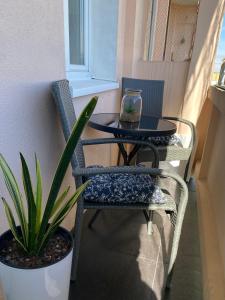 a table and two chairs and a plant on a balcony at Apartament Kasia in Wałbrzych
