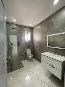 a bathroom with a shower and a sink and a toilet at Superbe villa avec piscine sans aucun vis à vis in Djerba