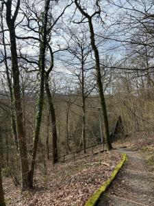 un sentiero nel bosco con alberi e una recinzione di The Forest Cabin Durbuy a Durbuy