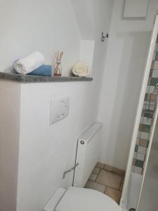 bagno con servizi igienici e mensola sul muro di Casa Lazer a Tonadico Altre 19 foto