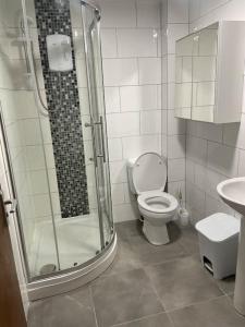 a bathroom with a shower and a toilet and a sink at One bedroom Apartment in Cardiff City Centre in Cardiff