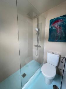 a bathroom with a toilet and a glass shower at TheharmonyhouseTaganana in Taganana