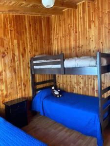 een slaapkamer met 2 stapelbedden in een houten muur bij Bella cabaña sector residencial in Pelluhue