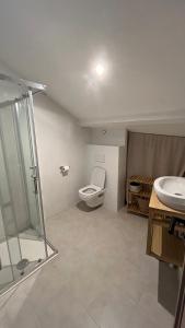 een badkamer met een douche, een toilet en een wastafel bij ÂU-LAC loft rénové en 2024 in Lourdes