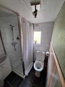 a small bathroom with a toilet and a shower at Villa Berk en Heide in Rosmalen