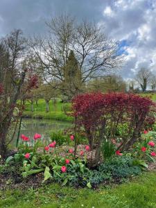 un jardin avec des fleurs roses et un étang dans l'établissement La petite campagne, à Blaru