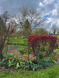 a garden with pink flowers and a pond at La petite campagne in Blaru +10 photos