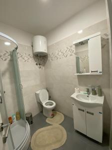 La salle de bains est pourvue de toilettes et d'un lavabo. dans l'établissement Apartman Blagojevic, à Veliko Gradište